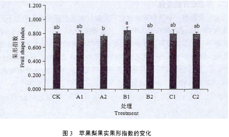 4.png 4.png