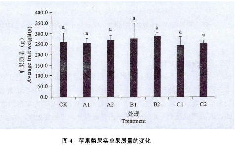5.png 5.png
